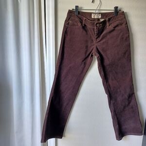 Vintage Steve and Barry's Corduroy Pants